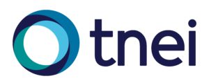TNEI logo